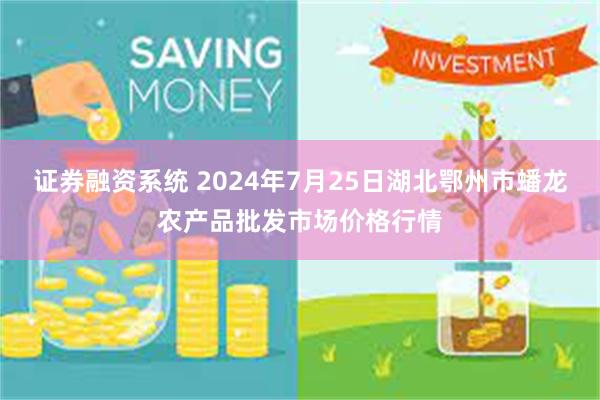 证券融资系统 2024年7月25日湖北鄂州市蟠龙农产品批发市场价格行情