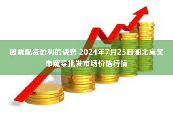 股票配资盈利的诀窍 2024年7月25日湖北襄樊市蔬菜批发市场价格行情