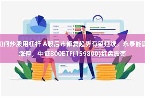 如何炒股用杠杆 A股后市修复趋势有望延续，永泰能源涨停，中证800ETF(159800)红盘震荡