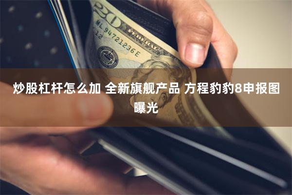 炒股杠杆怎么加 全新旗舰产品 方程豹豹8申报图曝光