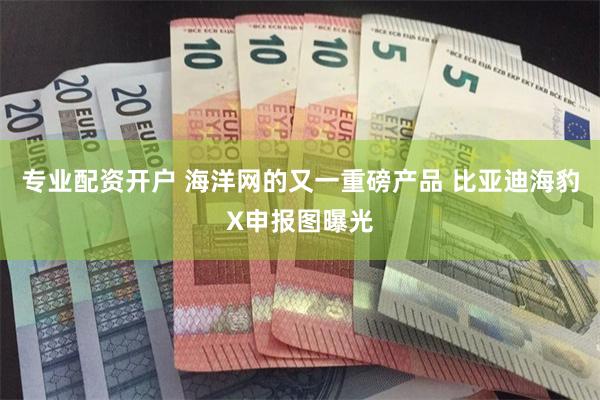 专业配资开户 海洋网的又一重磅产品 比亚迪海豹X申报图曝光