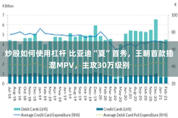 炒股如何使用杠杆 比亚迪“夏”首秀，王朝首款插混MPV，主攻30万级别