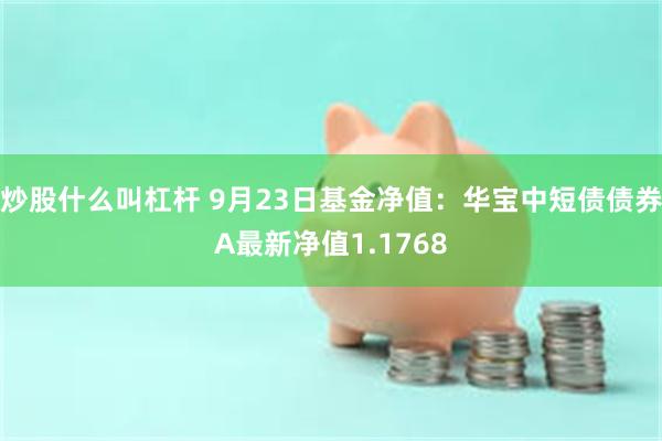 炒股什么叫杠杆 9月23日基金净值：华宝中短债债券A最新净值1.1768