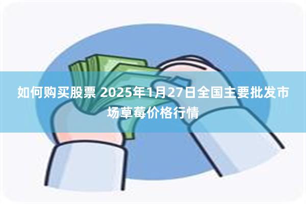 如何购买股票 2025年1月27日全国主要批发市场草莓价格行情