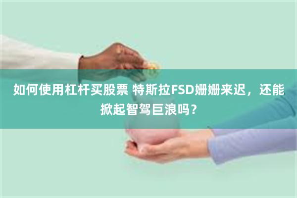 如何使用杠杆买股票 特斯拉FSD姗姗来迟，还能掀起智驾巨浪吗？