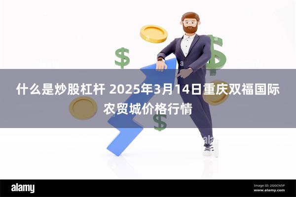 什么是炒股杠杆 2025年3月14日重庆双福国际农贸城价格行情